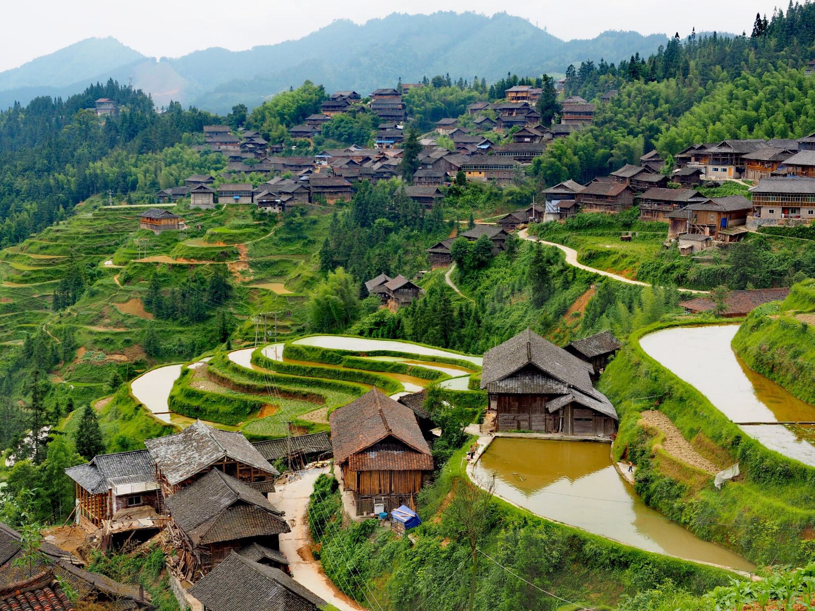 好像北京的公交車多數都是北汽福田的車，尤其